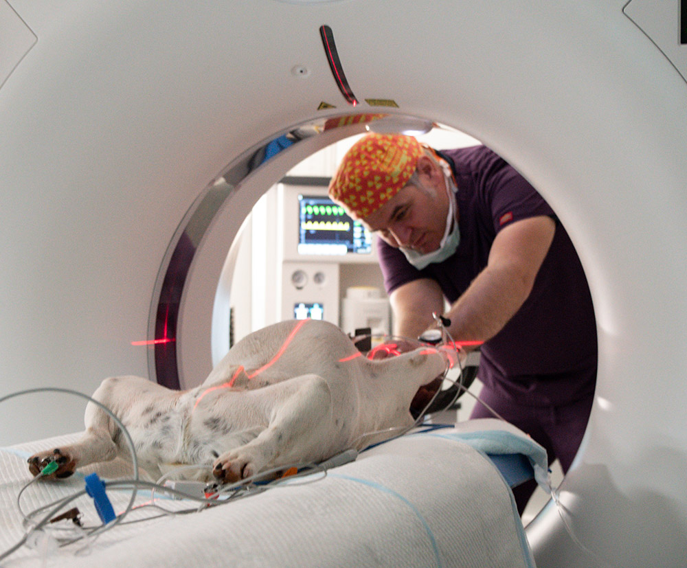 header-home-imagerie