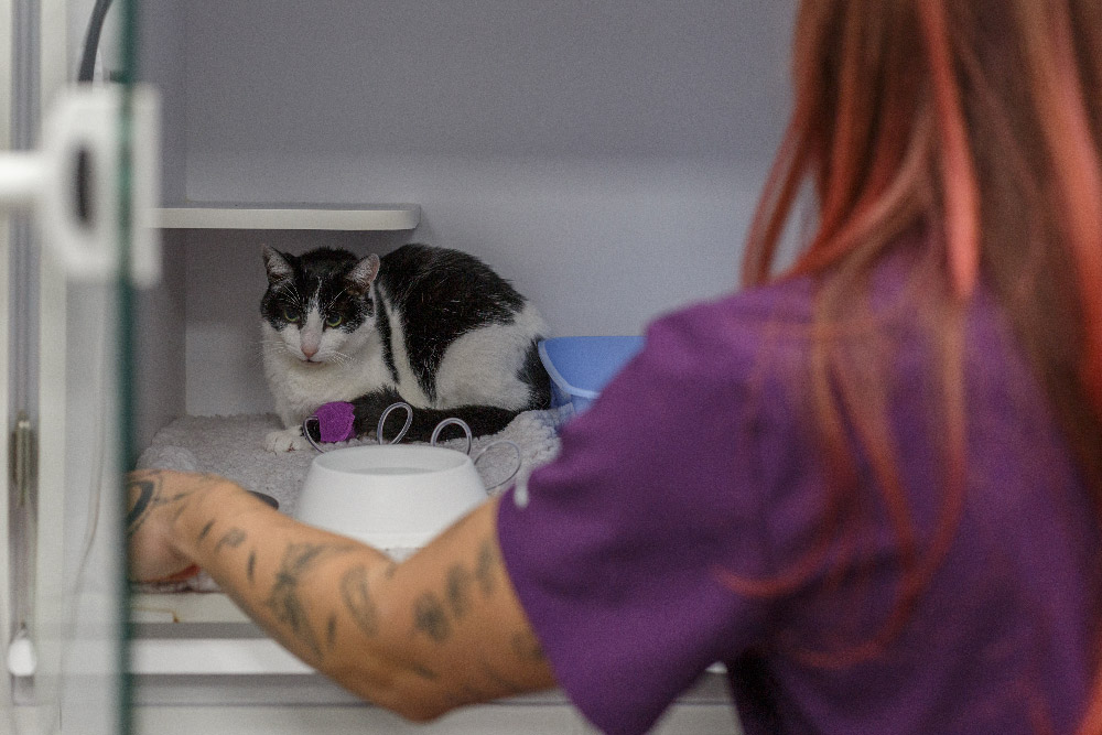 header-hospitalisation-5jpg