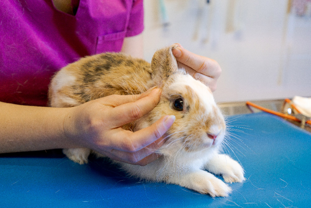 header-medecine-generale-1