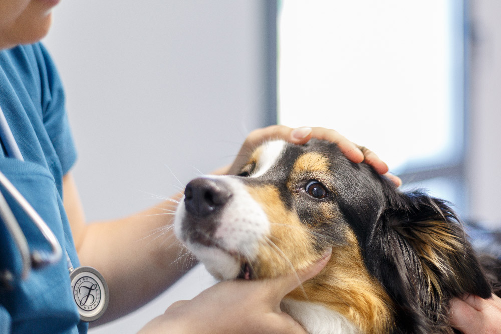 header-medecine-generale-3