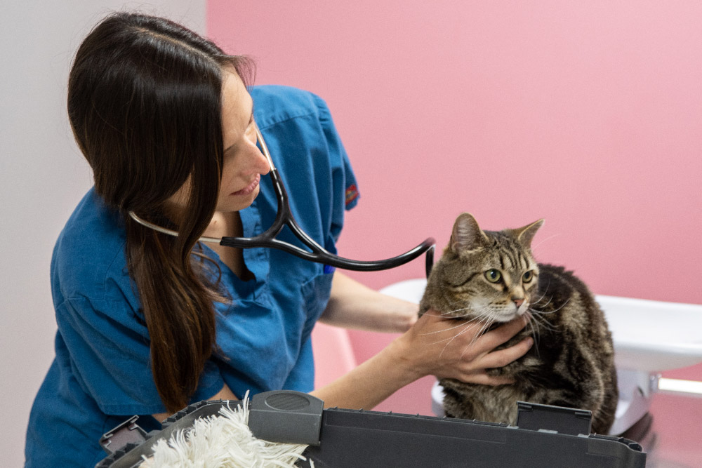 header-medecine-generale-5