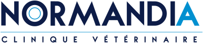 logo-normandia