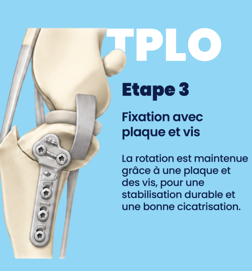 schéma tplo 03